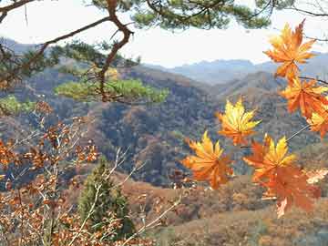 探索神秘，山海龙岛的最新情况揭秘